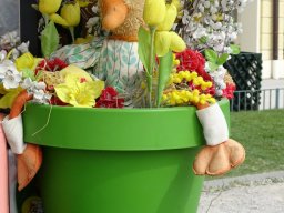  Schönbrunn am 22. 03. 2024